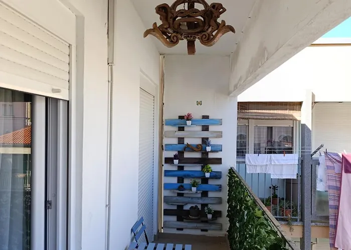 Viva Riva Zadar